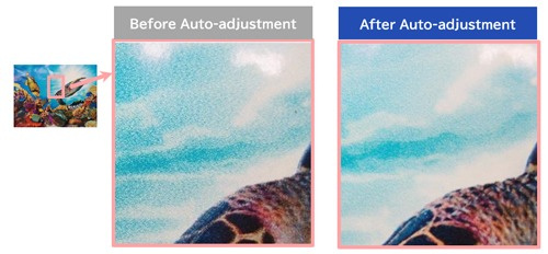 Figure 4. Image Quality Comparison Before and After Automatic Adjustment Using DAS