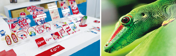 Original goods for the “Carp Baseball Gallery” of the Hiroshima Toyo Carp manufactured with Mimaki's IJP (left), and a print that successfully expresses realistic image using the 2.5D printing technology of the same IJP