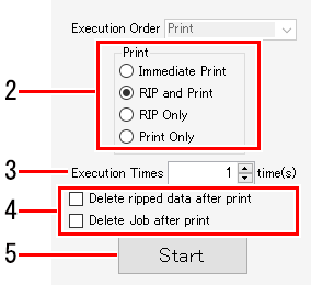 Setup screen for RIP and print execution_