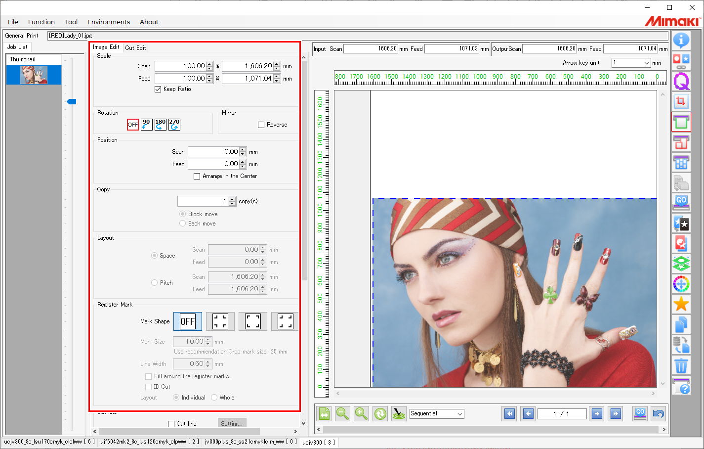 Normal print screen