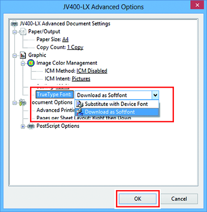 Advanced options screen for printer