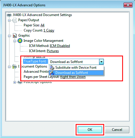 Advanced options screen for printer